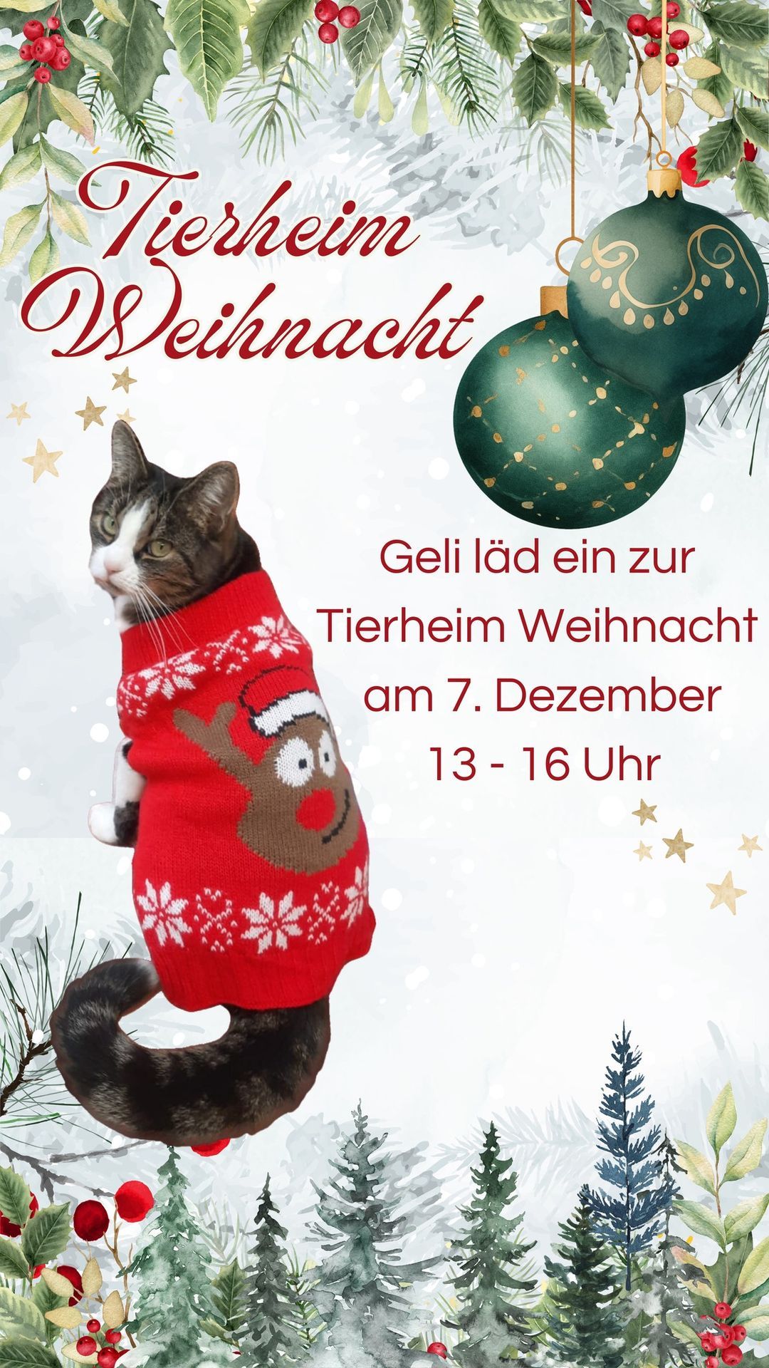 Tierheim Weihnacht