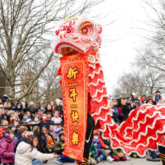 Lunar New Year at Queens Botanical Garden