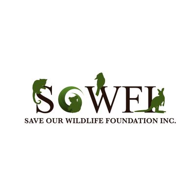 Save Our Wildlife Foundation Inc (SOWFI)