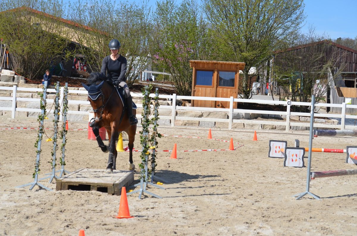 Trail und Gelassenheits\u00fcbungen \u2013 jetzt 1 x monatlich am Freizeitreitstall Schammelsdorf