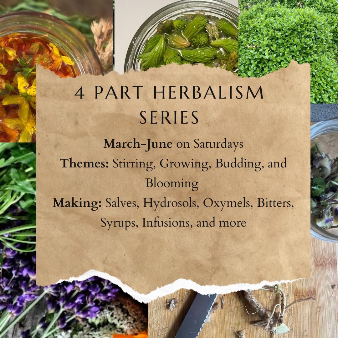 4 Part Herbalism Series 