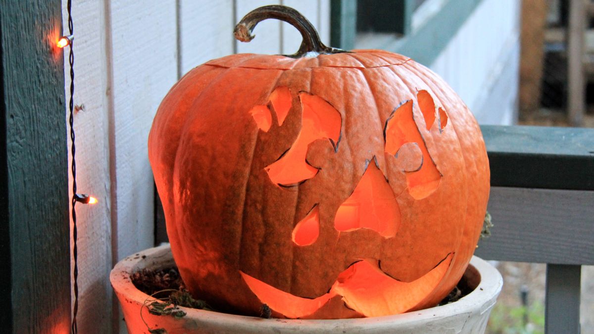 S4 - Ward Halloween Party