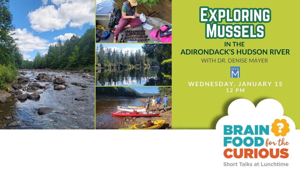 BrainFood: Exploring Mussels in the Adirondack\u2019s Hudson River