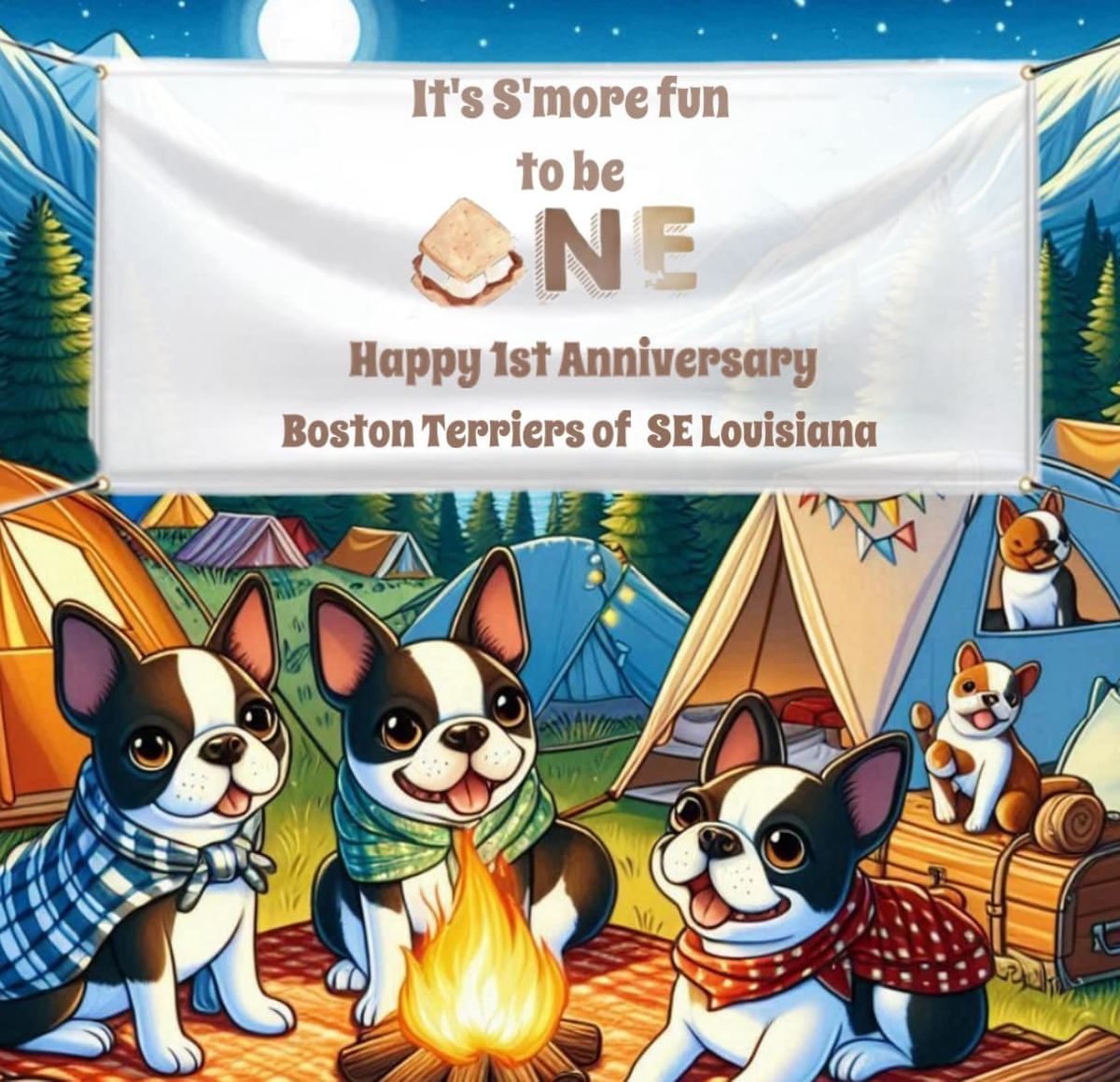 1 YEAR ANNIVERSARY "CAMPING" PAWTY!