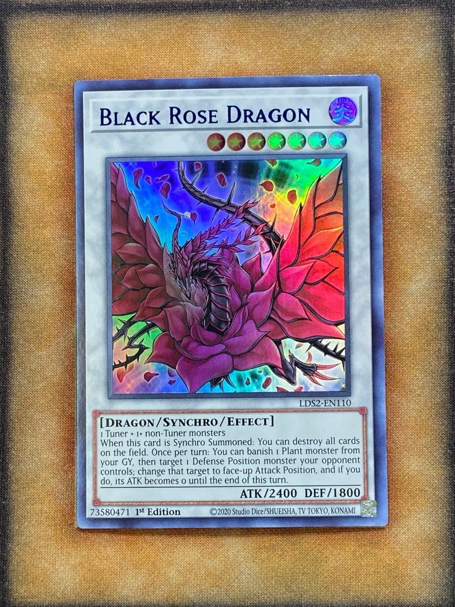 Elite Tuner New Mexico