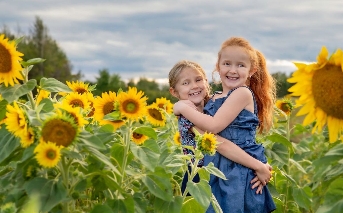 My Private Sunflower Field Portrait Sessions