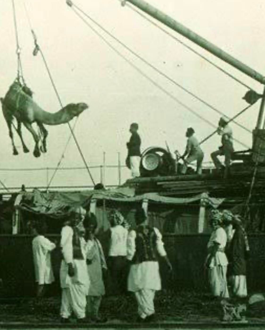 In the Footsteps of the Afghan Muslim Cameleers: Shaping the Birth of Australia Exhibition