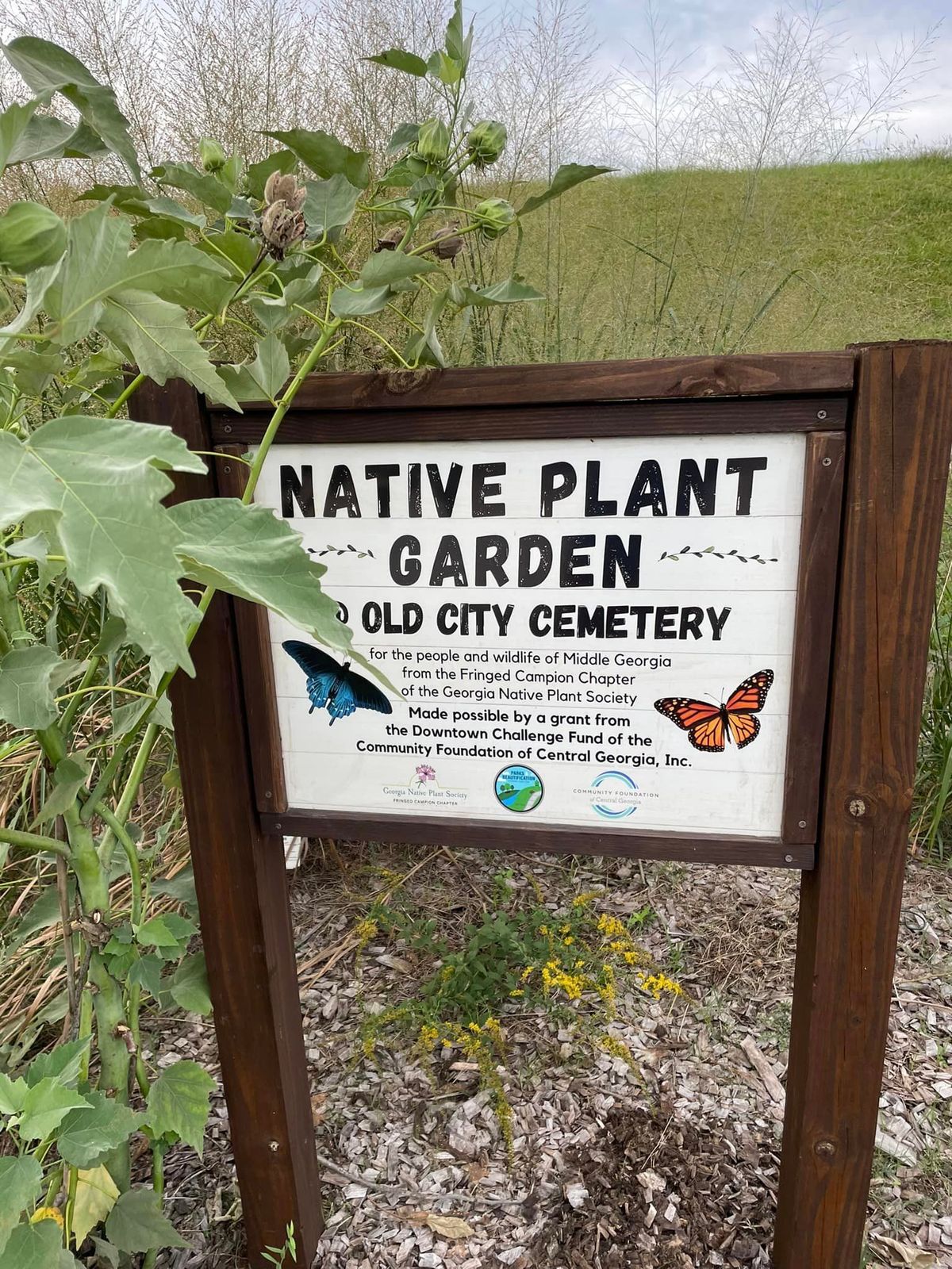 Work Day at Old City Cemetery Native Plant Garden