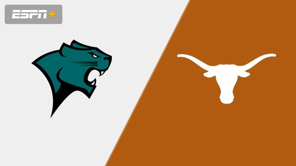 Baylor Bears at Texas Longhorns Womens Volleyball