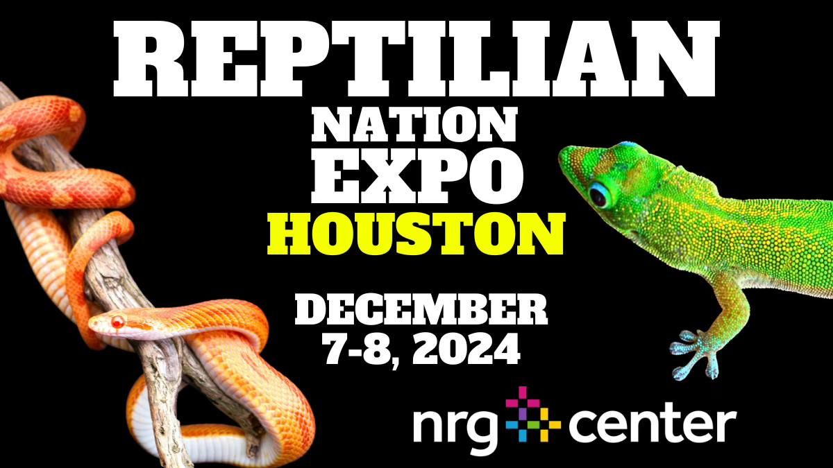 REPTILIAN NATION EXPO -HOUSTON