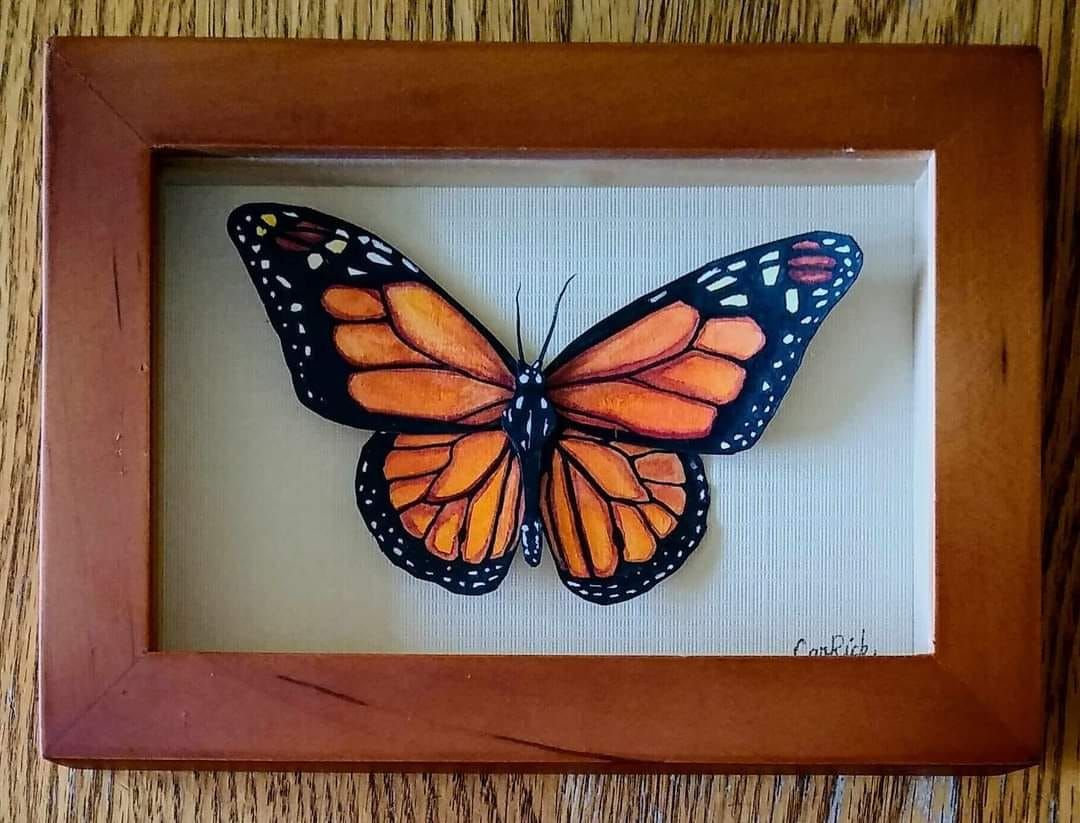 3D Butterflies