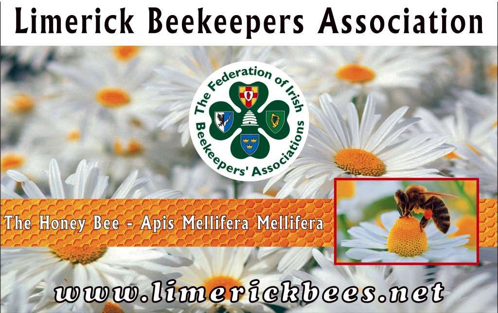 Gardening for Bees 