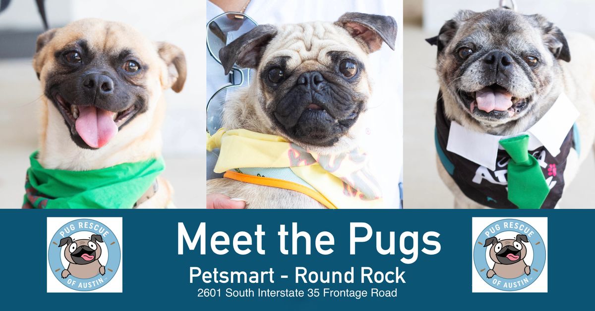 Meet the Pugs