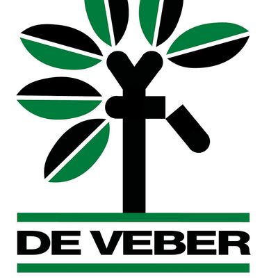 The deVeber Institute