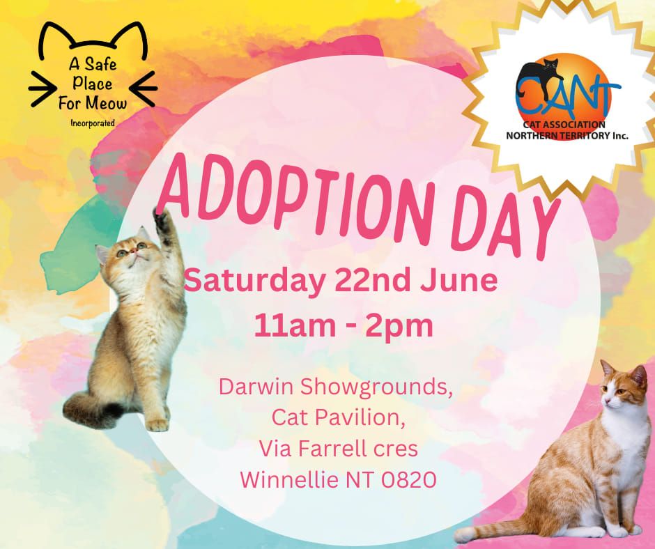 June Adoption Day: Come meet your cheeky bestie!