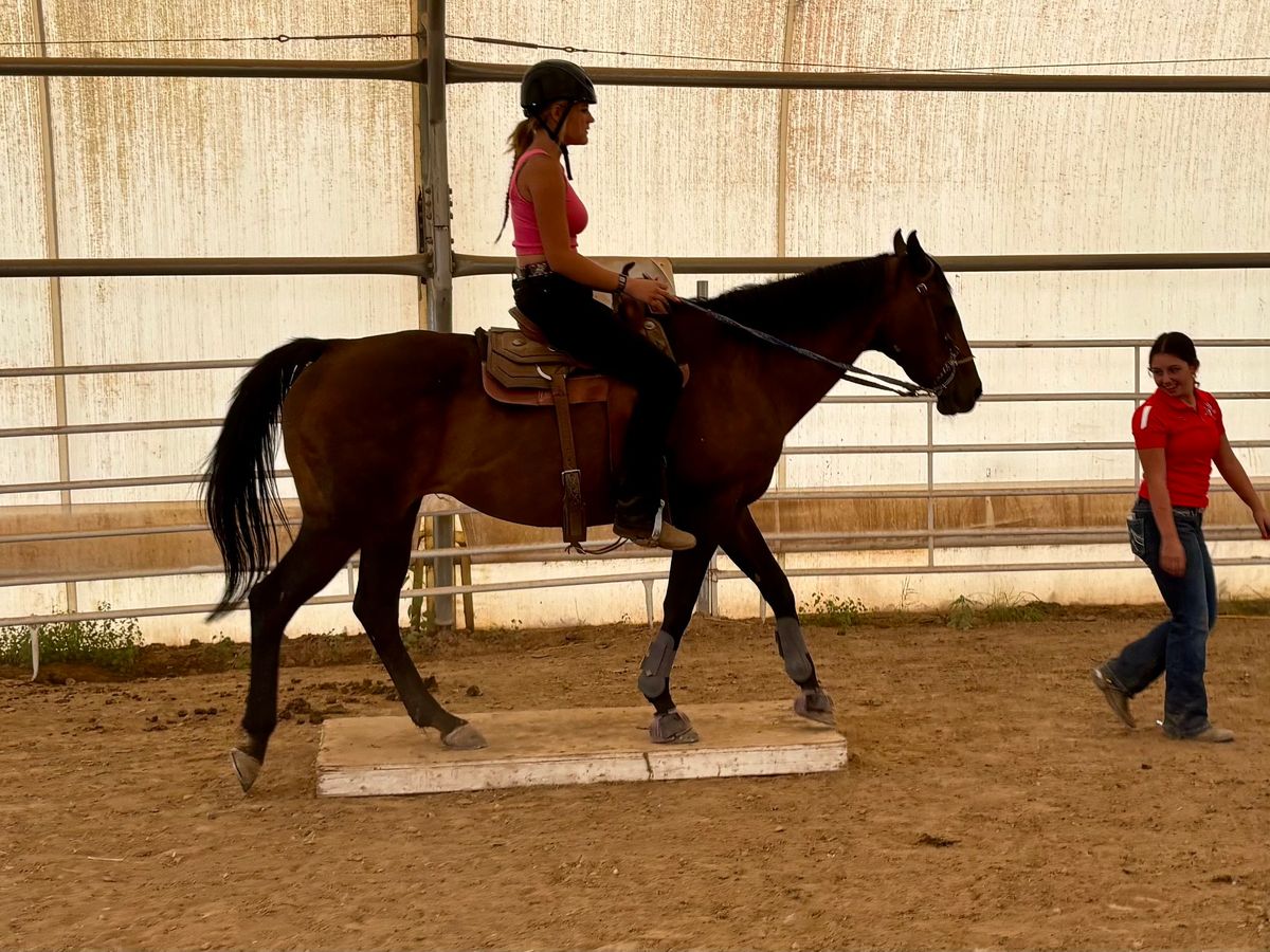 Speed Trail & Ranch Riding