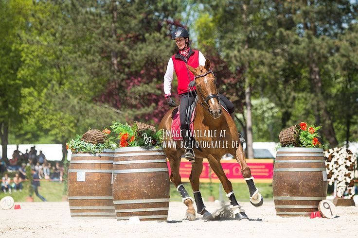 Working Equitation Workshop #1