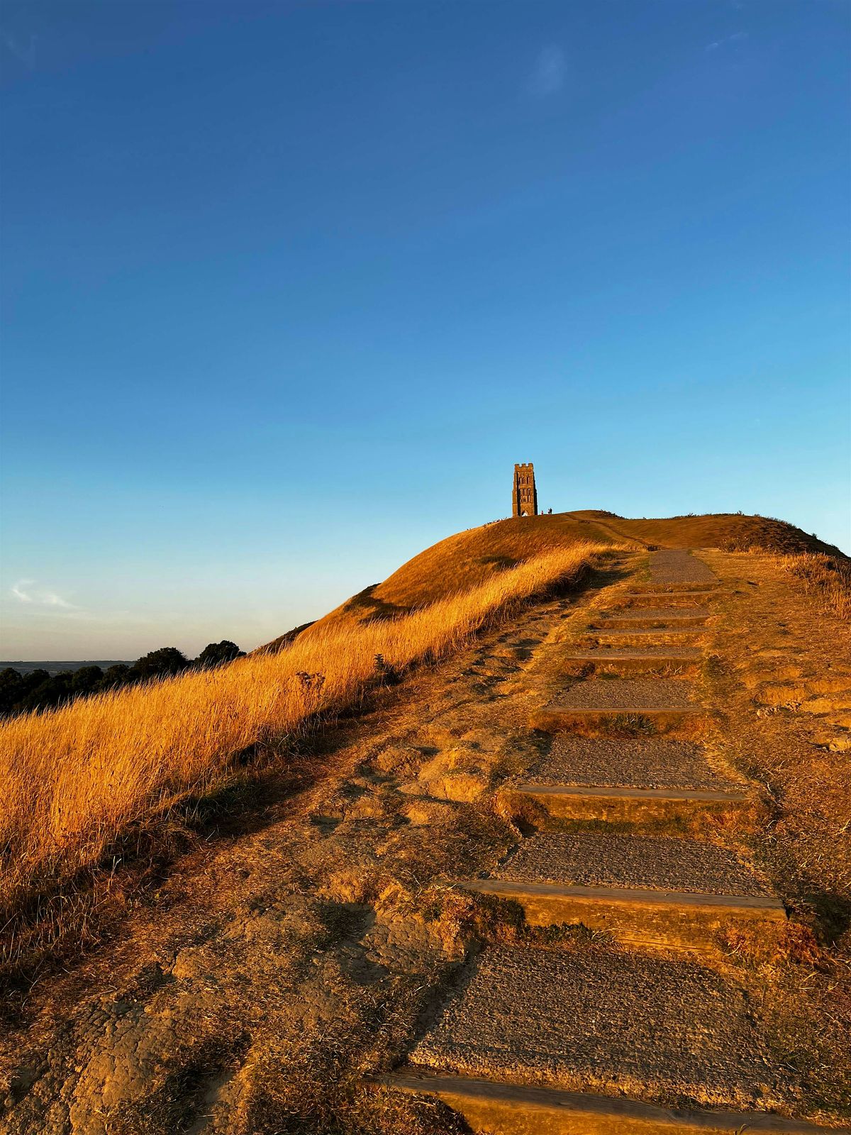 LionsGate 8\/8 Portal at the Heart Centre - Glastonbury