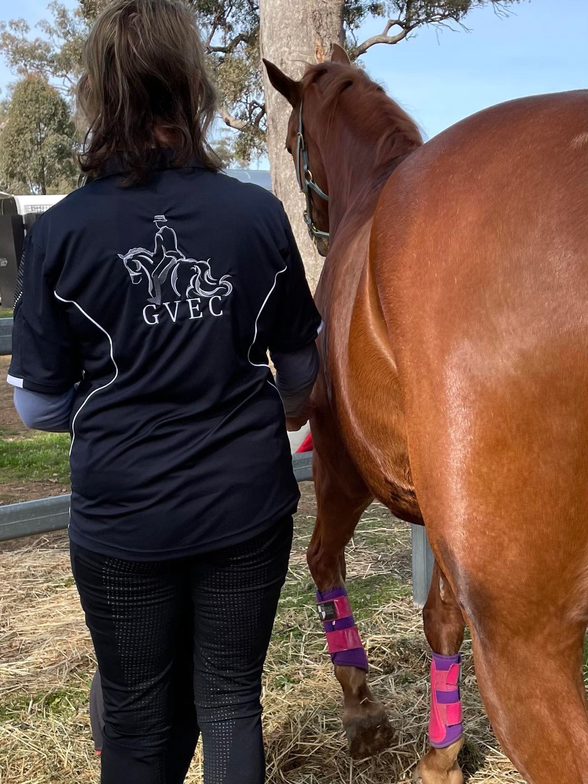 Goulburn Valley Equestrian Club Dressage Jackpot 