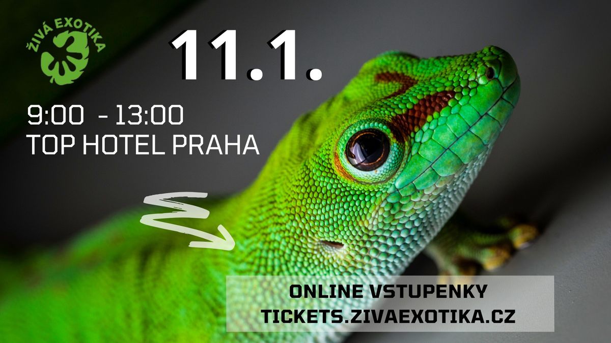 \u017dIV\u00c1 EXOTIKA - PRAHA