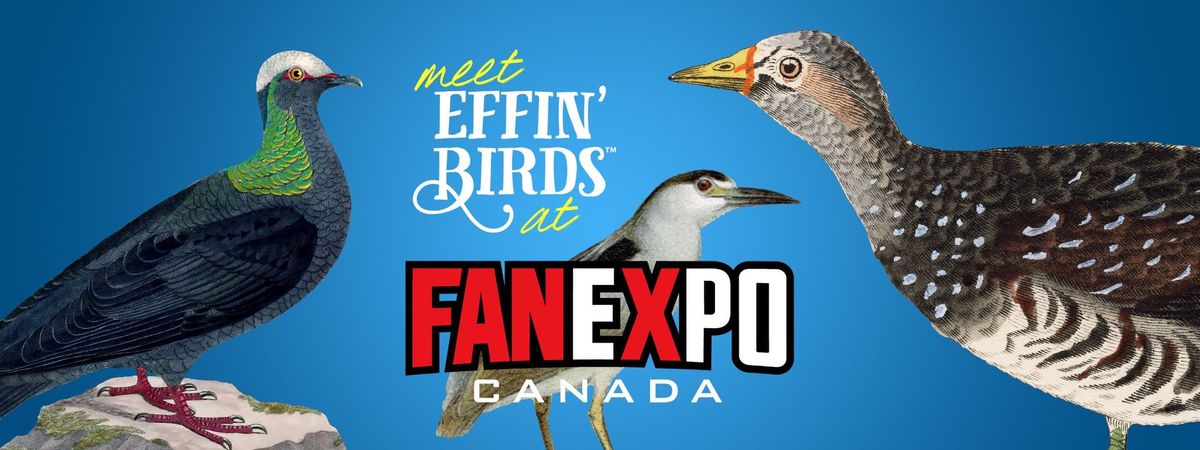 Effin' Birds at FAN EXPO Canada
