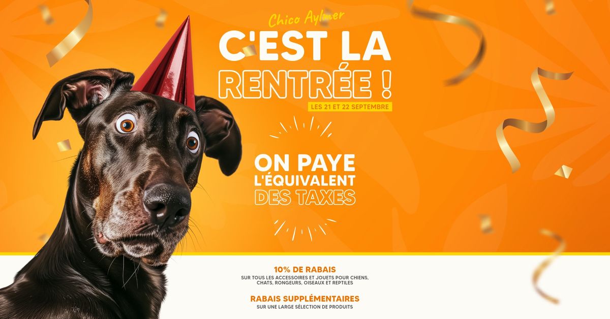 CHICO AYLMER F\u00caTE LA RENTR\u00c9E ! - NOUS PAYONS L'\u00c9QUIVALENT DES TAXES - 21 ET 22 SEPTEMBRE 2024