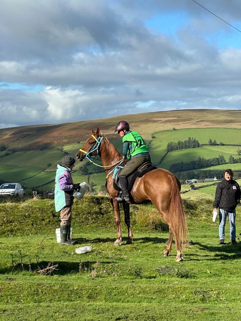 South and West Wales Endurance Group Annual Branch Meeting 