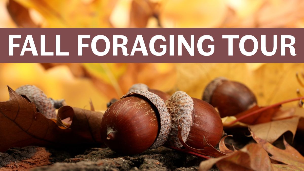 Fall Foraging Tour