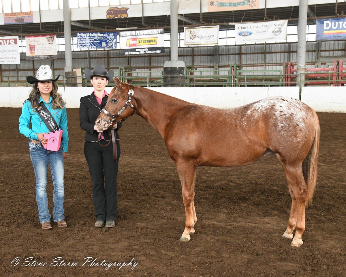 April Reins Spring Horse Show