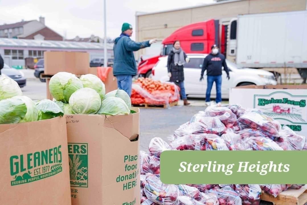 Sterling Heights - Gleaners DRIVE-THRU FREE FOOD DISTRIBUTION at New Apostolic Church