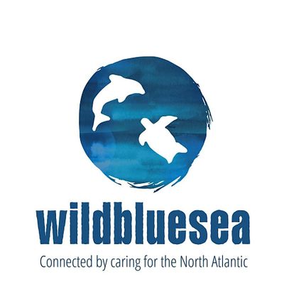 Wildbluesea