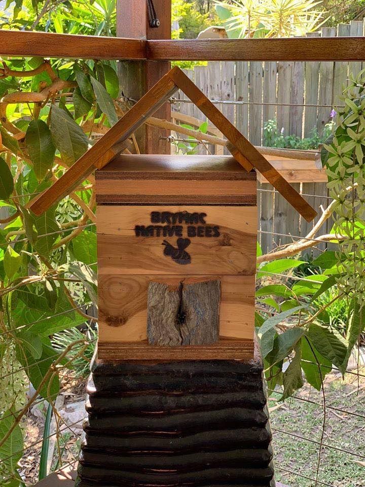 Native Stingless Bee Workshop - Glass House Mountains