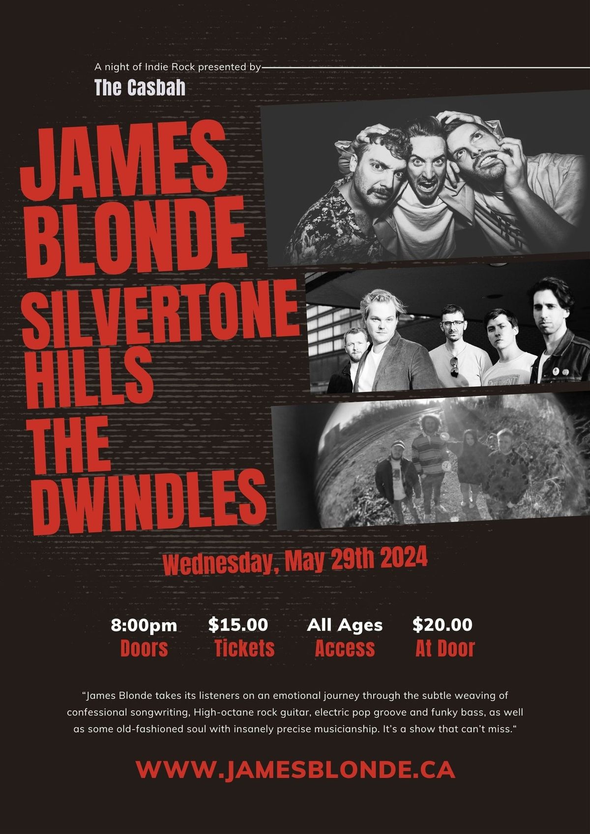 JAMES BLONDE with Silvertone Hills & The Dwindles in Hamilton