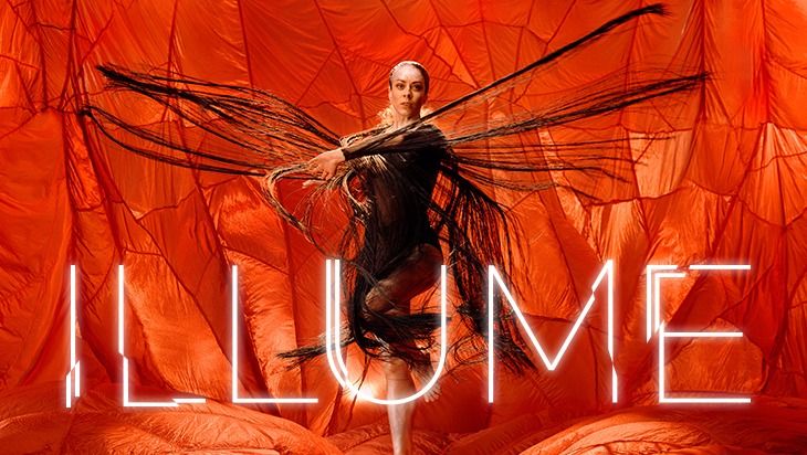 Bangarra Dance Theatre | Illume