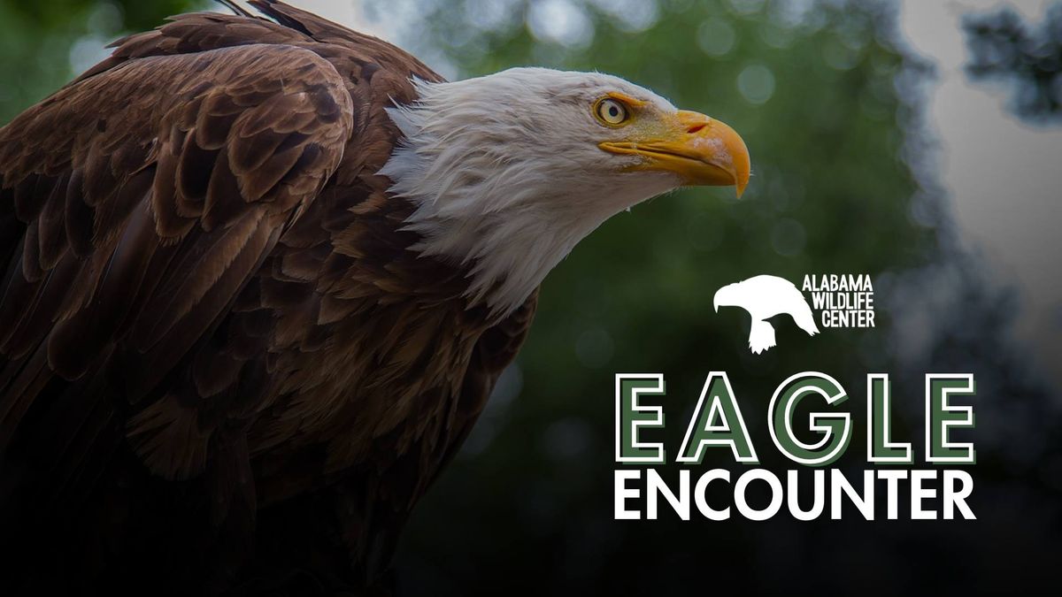 Eagle Encounter: A Day with Shelby at AWC
