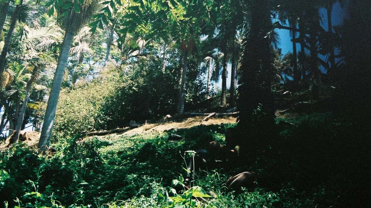 Mitchum Yacoub, Jungle Fire, Mavis Staples, Shirley Nanette in Portland