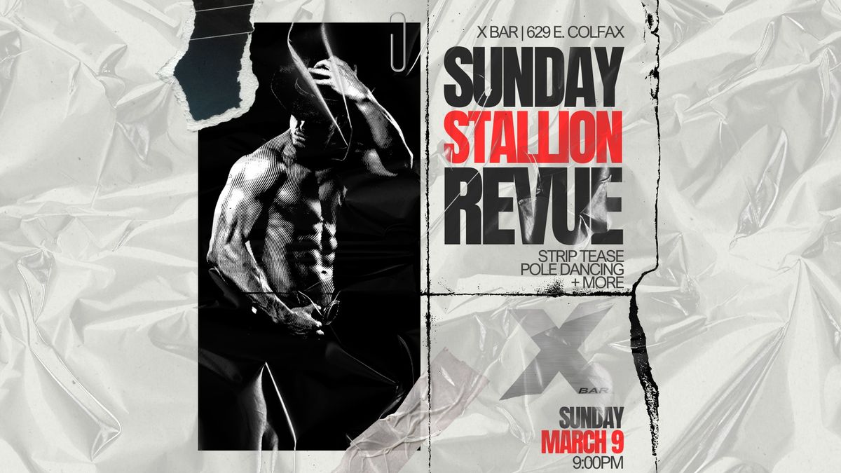 Sunday Stallion Revue in glow lounge