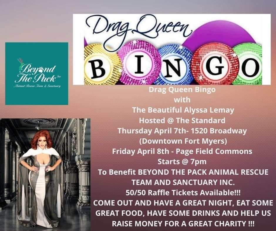 Drag Queen Bingo