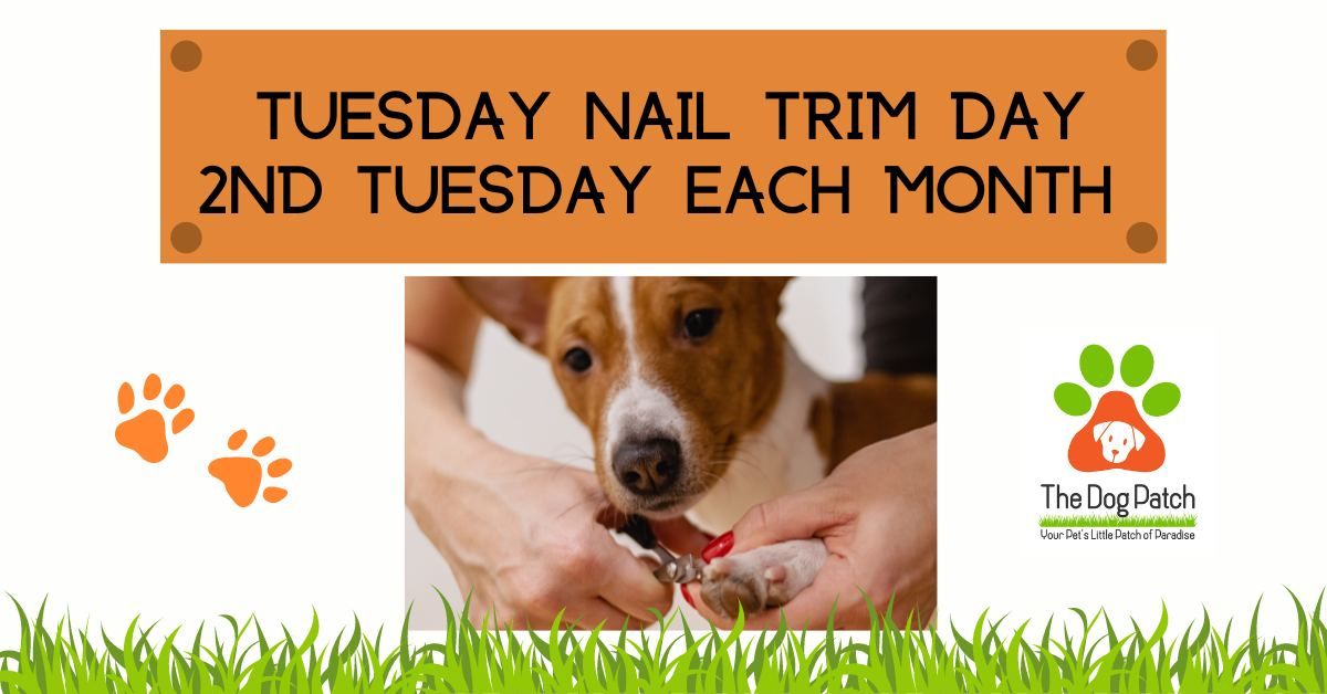 TUESDAY NAIL TRIM DAY @ The Patch