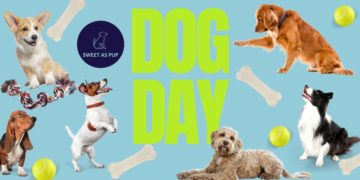 September Dog Day at No4 Bar - Supporting Assistance Dogs NZ!