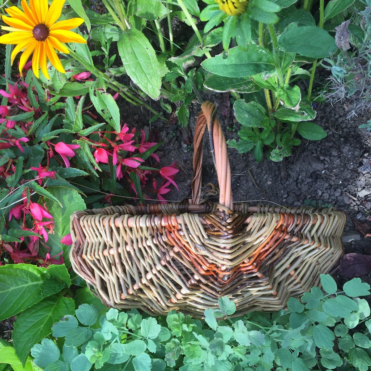 Now Full - Garden Trug Willow Workshop - Carmarthen