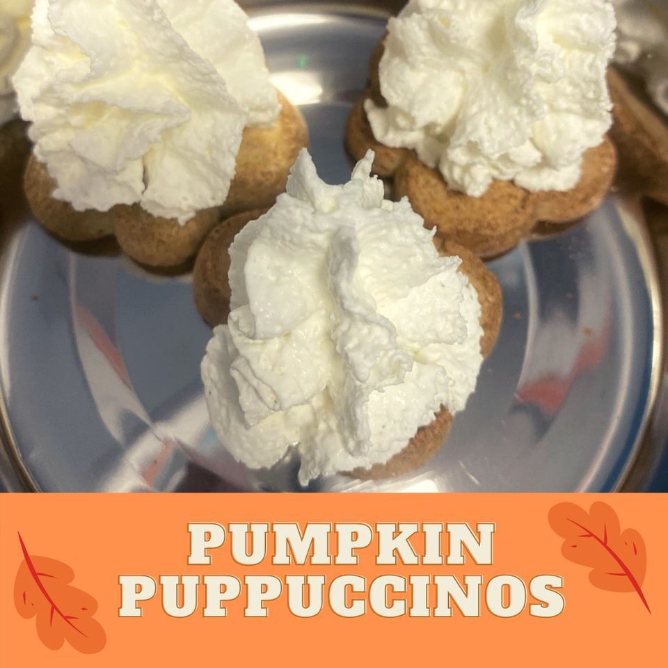 Fall Pumpkin Puppuccino Fundraiser