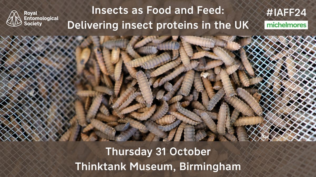 Insects as Food and Feed: Delivering insect proteins in the UK