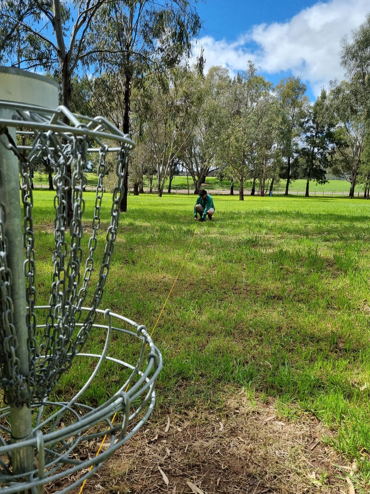 Day Out in Dubbo- Disc Golf Tournament