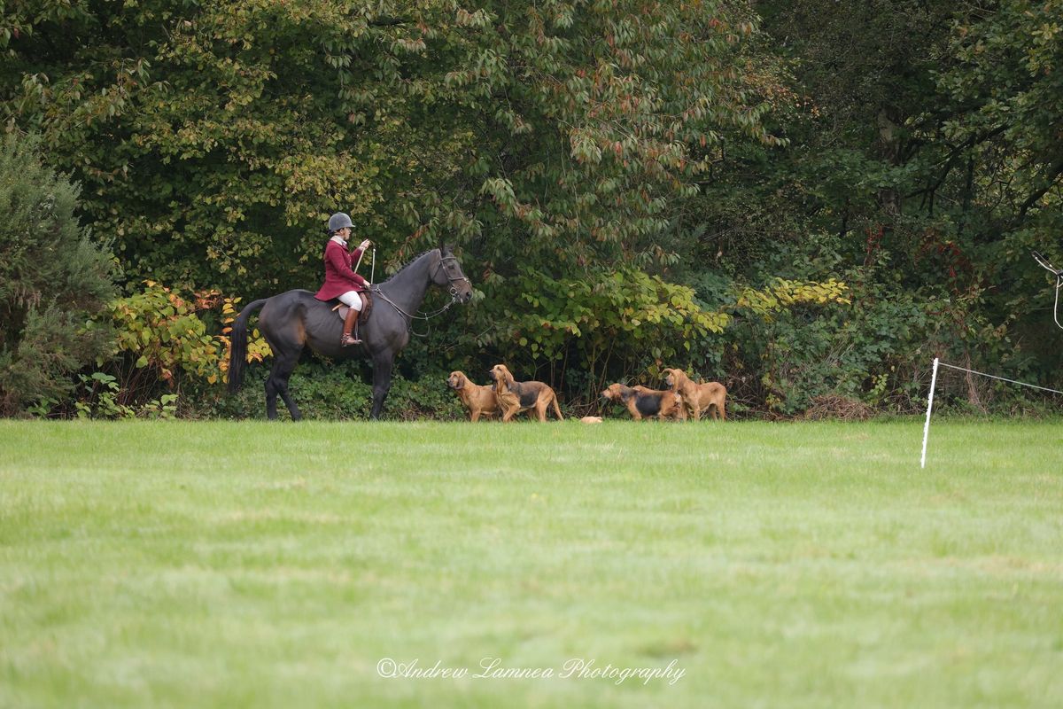 TCB at Pentre Riding Stables