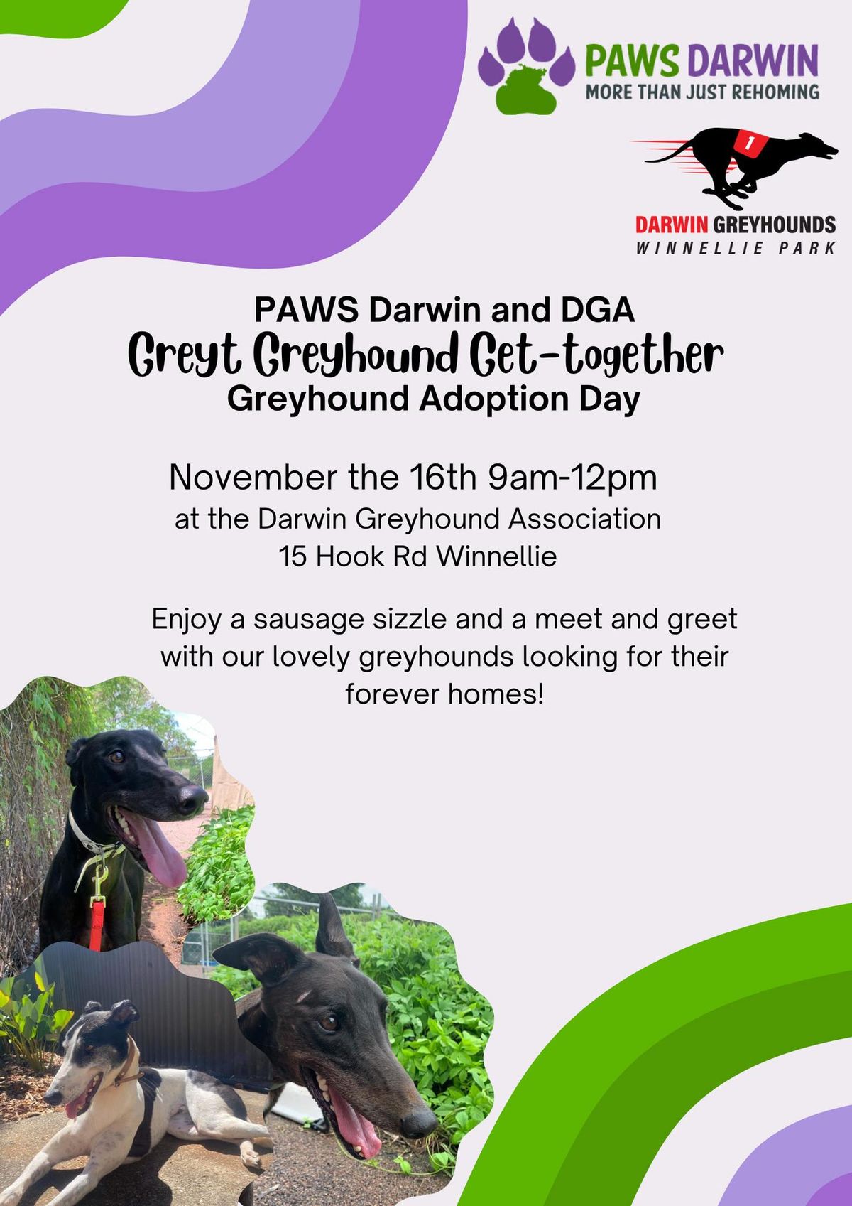 Greyt Greyhound Get-Together