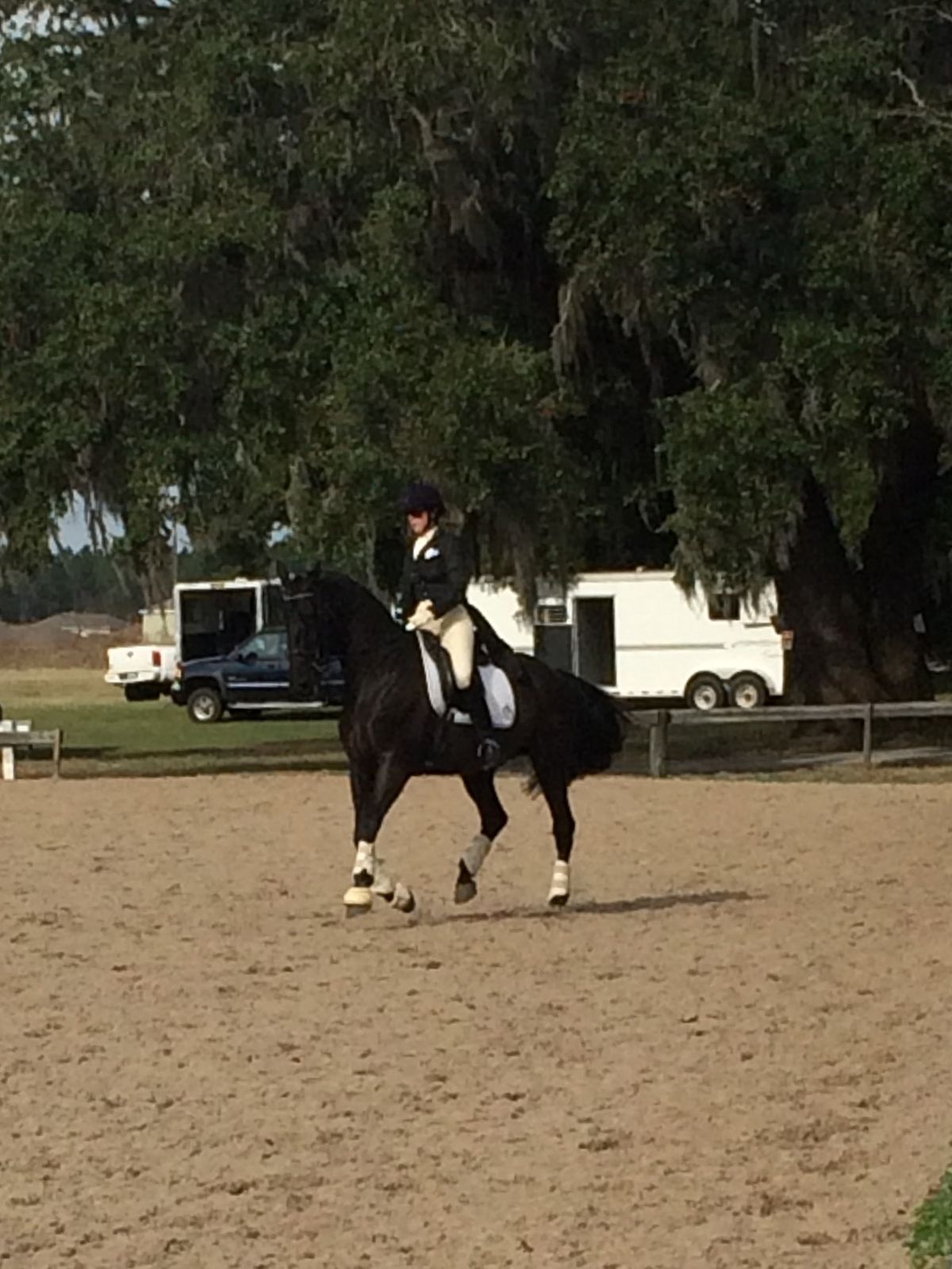 Cindy Thaxton Dressage Clinic - DEC 2024