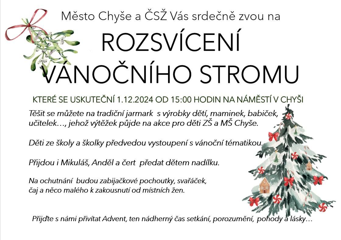 ROZSV\u00cdCEN\u00cd V\u00c1NO\u010cN\u00cdHO STROMU V CHY\u0160I