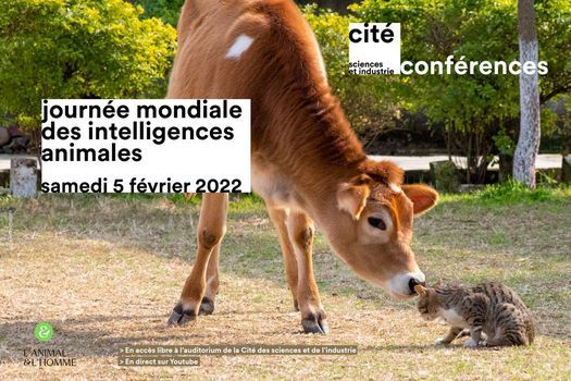 Journ\u00e9e mondiale des intelligences animales 2022 (5e \u00e9dition)