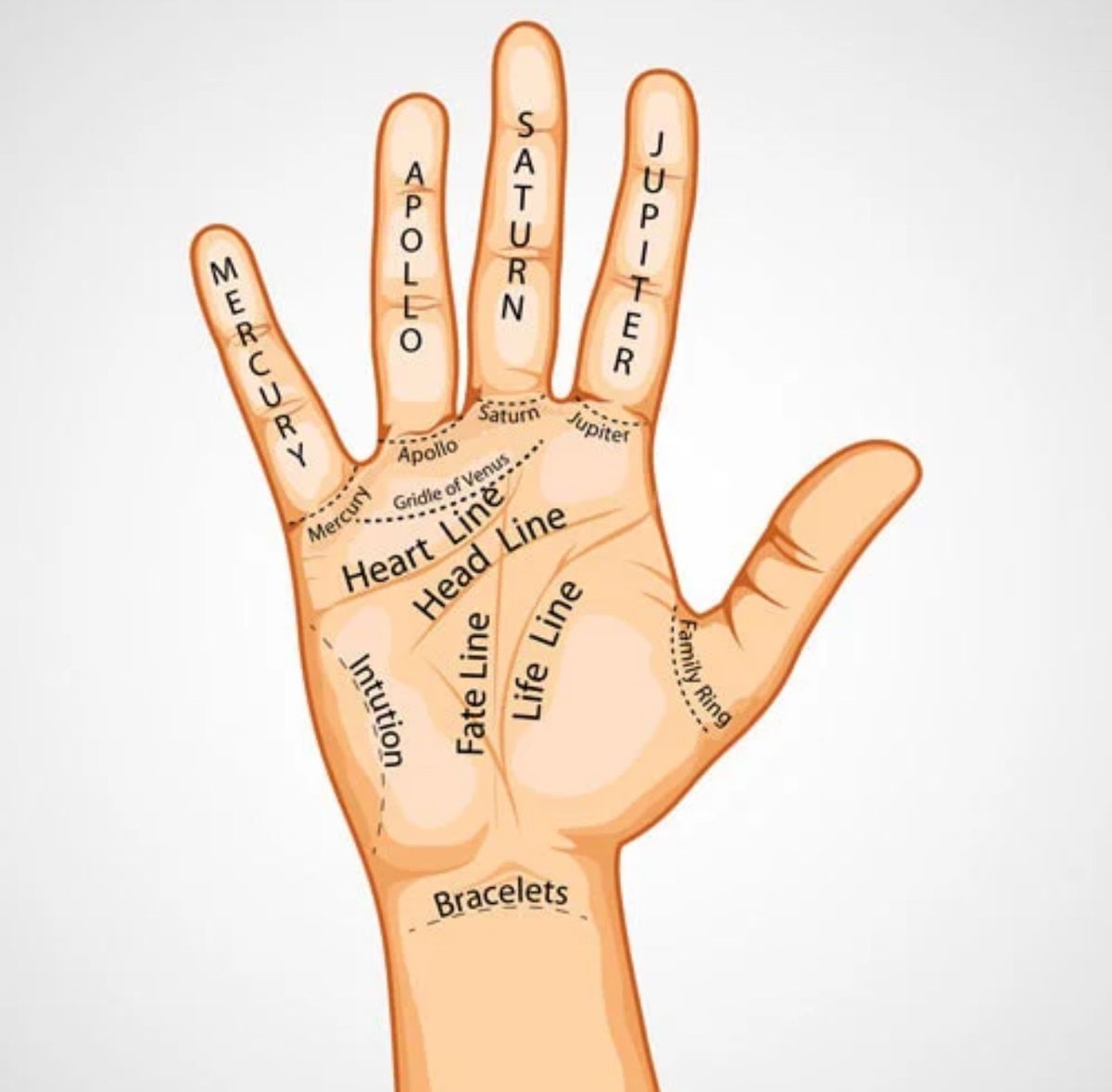 Palmistry- the Secrets to Gift Markings w\/ Barbara Gale